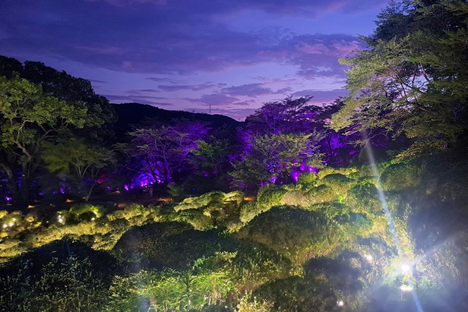 写真：紫色のライトで染まる山