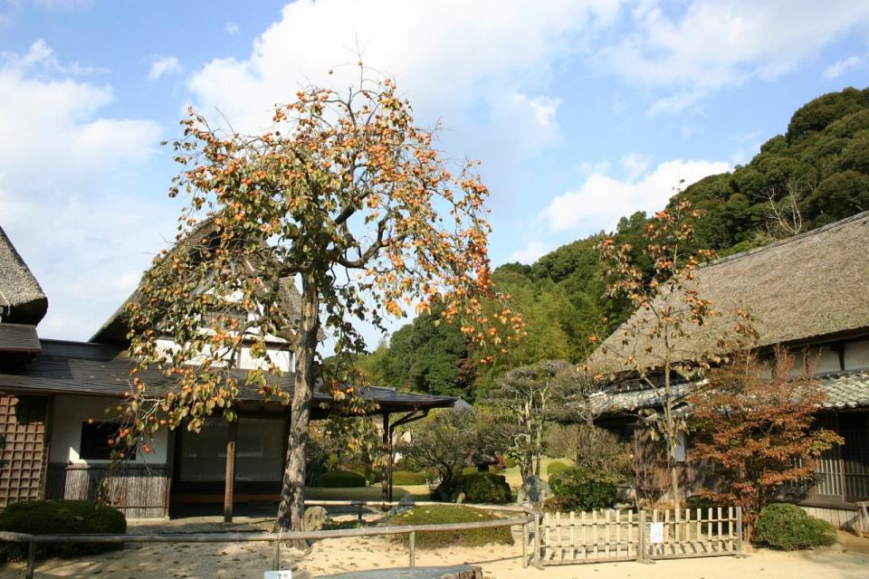 柿右衛門窯の庭園の画像