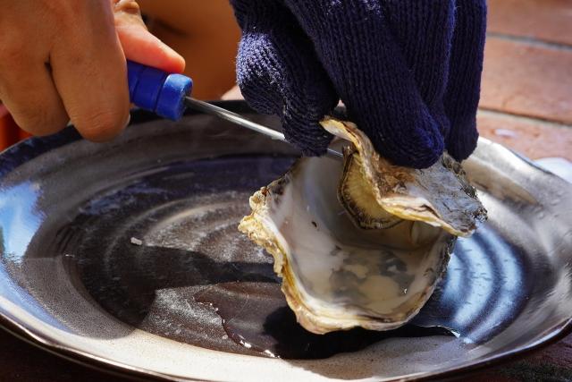 写真：岩牡蠣の殻をむく様子