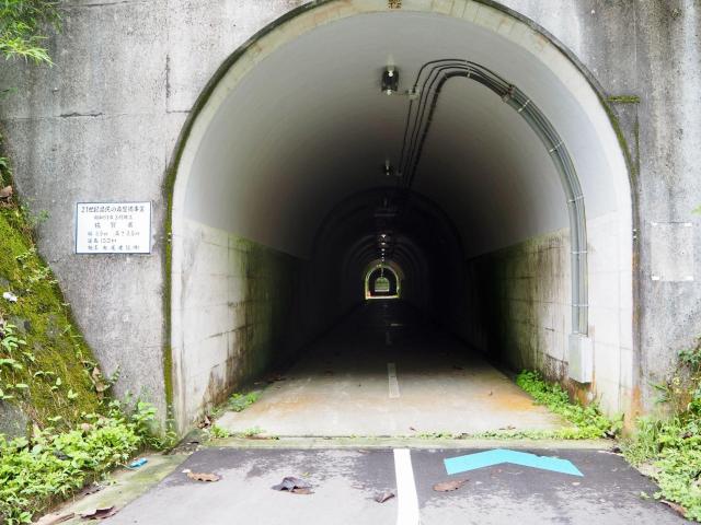 写真：トンネルの入口