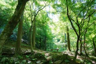環境芸術の森の写真