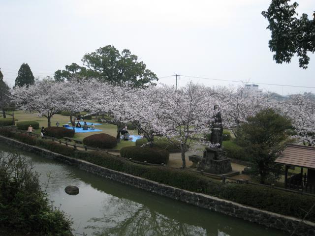 画像:旭ヶ岡公園の桜の写真