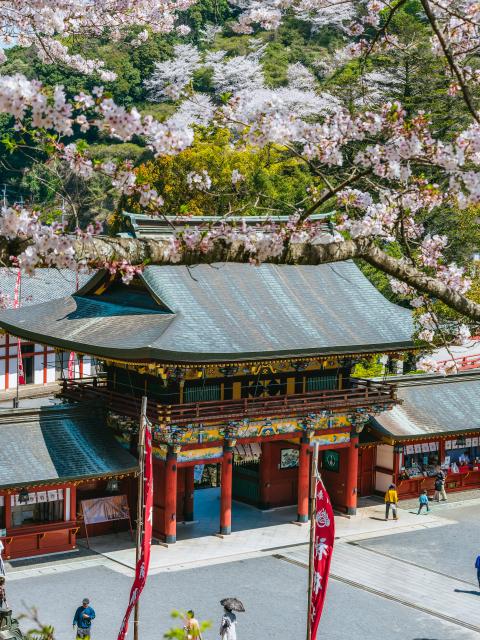 写真：祐徳稲荷神社（桜）