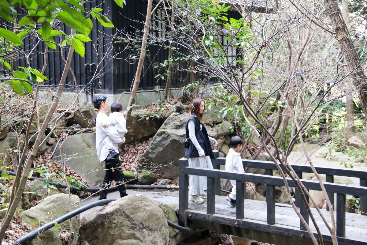写真：木立の中に川があり、小さい石橋がかかっている。両親と子供2人の家族が橋を渡っている
