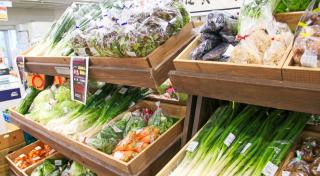 写真：野菜が商品棚に並べられている様子