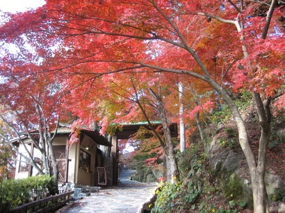 写真：紅葉の坂道