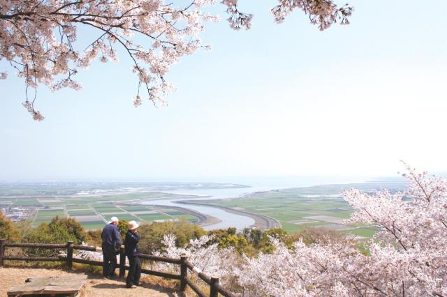 写真：桜の里展望台から見る景色