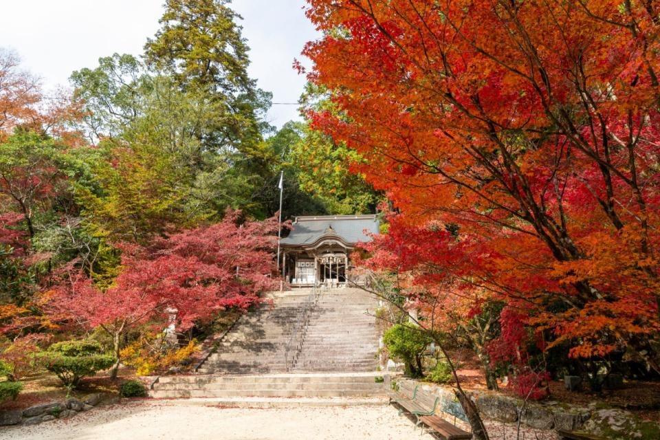 写真：仁比山神社への参道と紅葉する木々