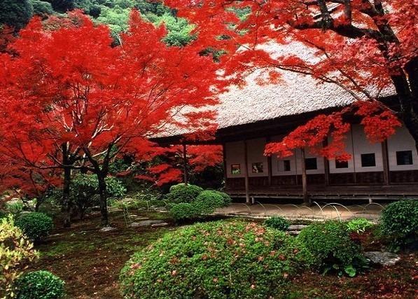 写真：数寄屋造りの邸宅と筑紫平野を借景にした庭園(真っ赤な紅葉)