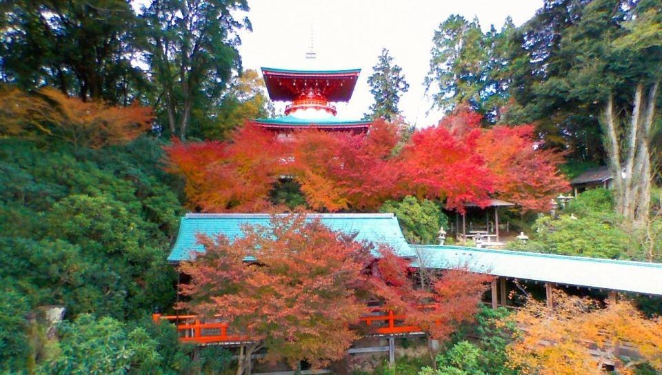 写真：紅葉とお寺