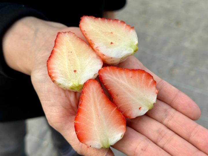 写真：イチゴの輪切り