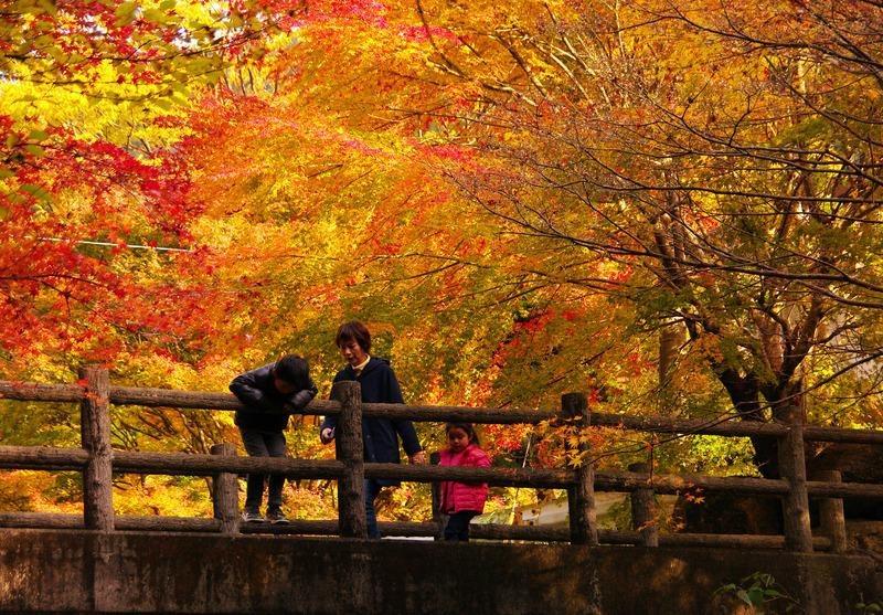 写真：紅葉の中を歩く親子