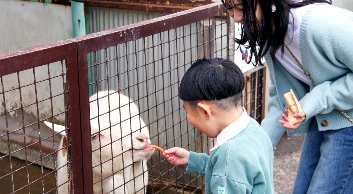 写真：ヤギにエサをやる親子