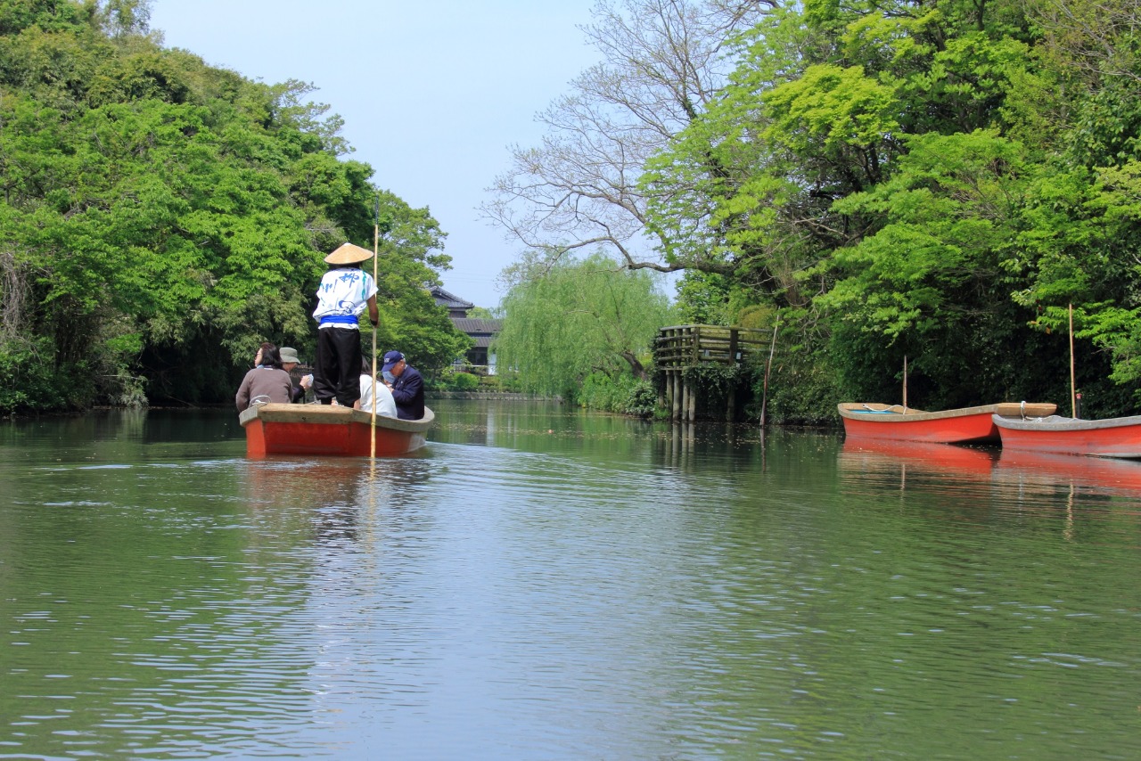 写真：柳川の川下りで船頭が船を漕いでいる様子