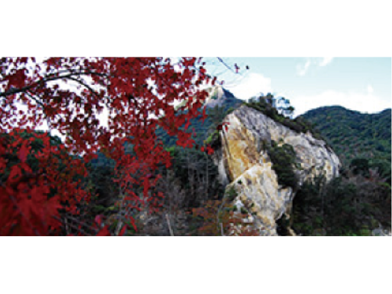 泉山磁石場の紅葉は見る者を圧倒する美しさ。