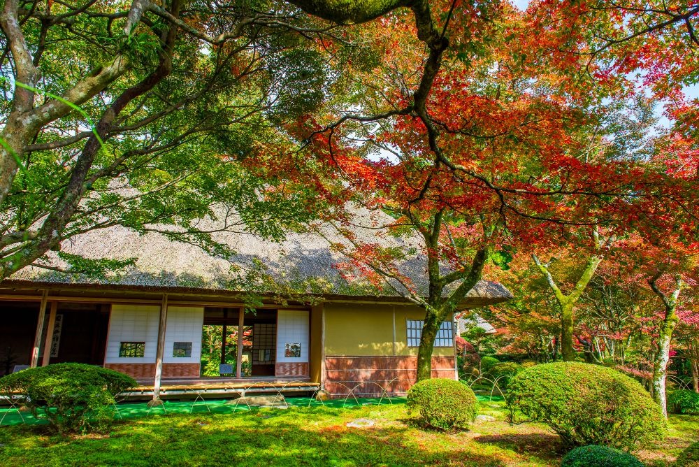 写真：手前に紅葉した立木があり、奥に庵がある庭園の風景