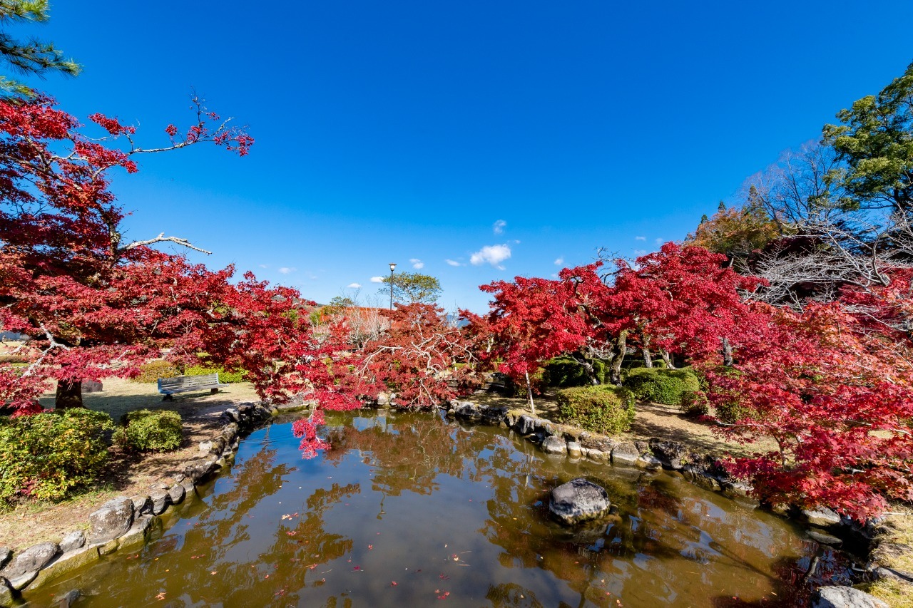 写真：屋敷の池と紅葉