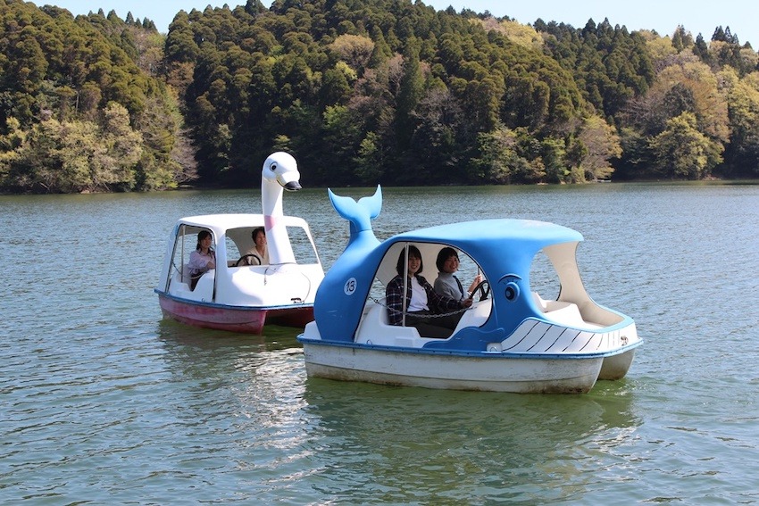 写真：貸しボートに乗るカップルの様子