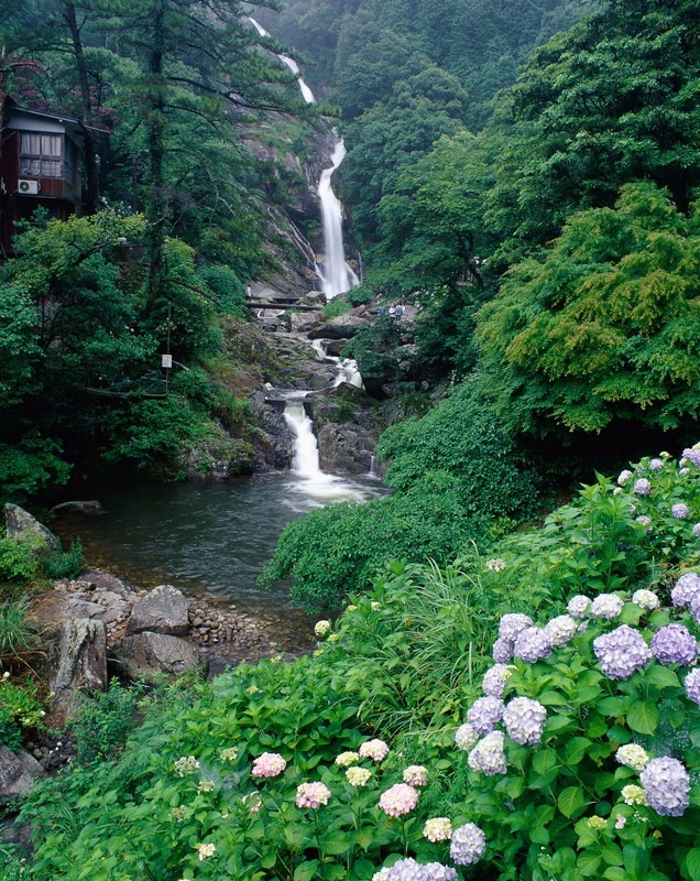 写真：木々に囲まれた見帰りの滝の風景