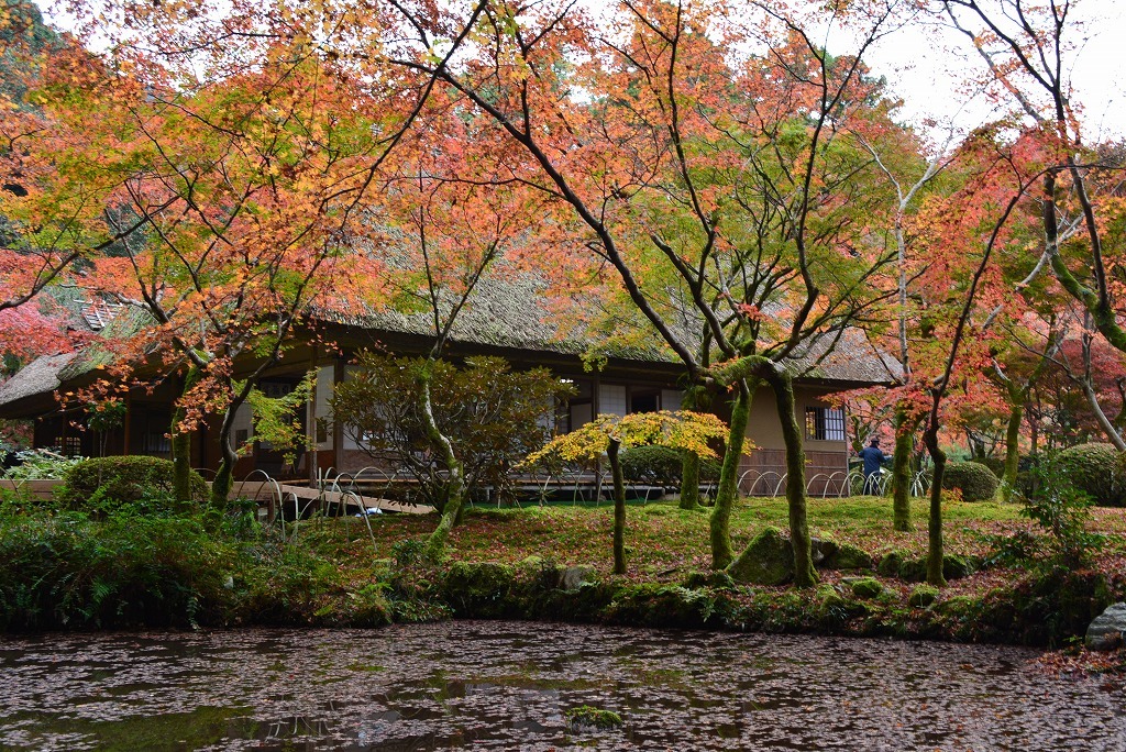 写真：紅葉に囲まれた九年庵の様子