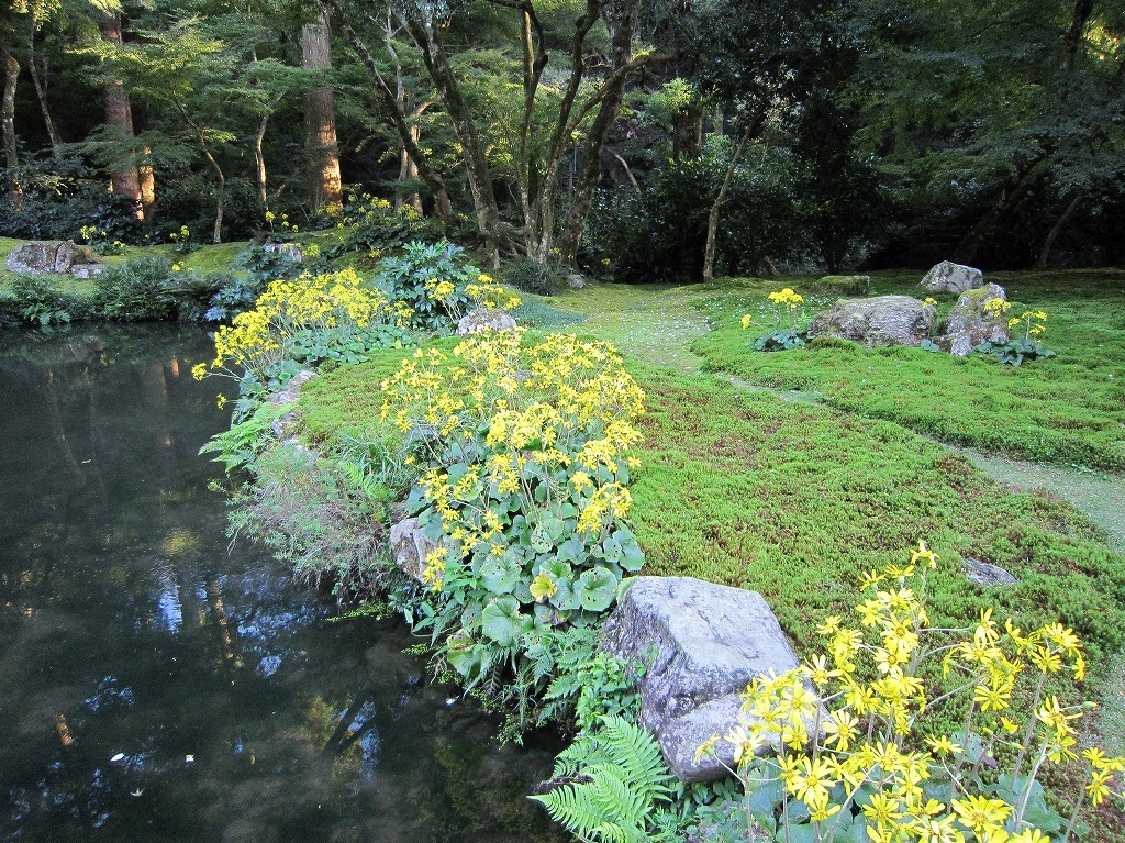 写真：清水寺本坊庭園の池の風景