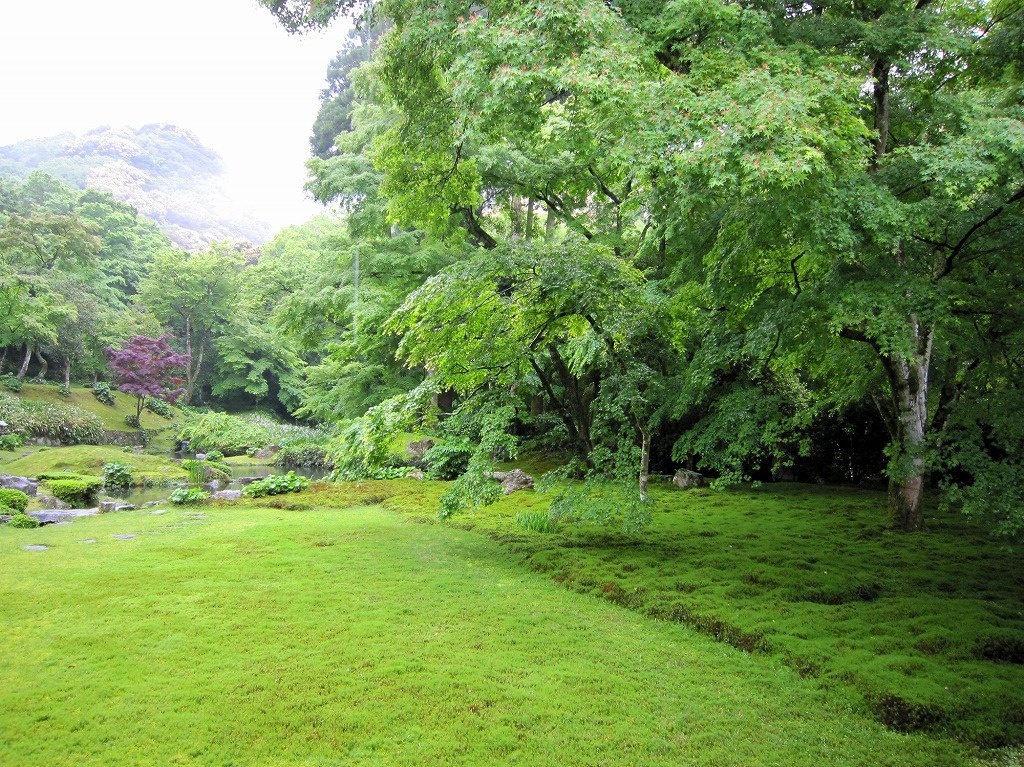 写真：清水寺本坊庭園の一面苔の風景