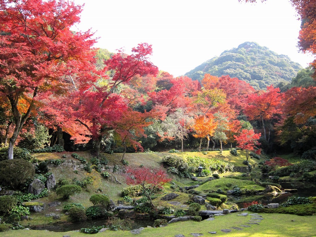 写真：清水寺本坊庭園の紅葉の風景