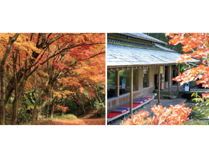 写真：オレンジ色の紅葉や慧洲園の中にある建物の写真