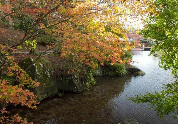 美しい紅葉と美食を堪能する旅 日本庭園 慧洲園と旬の食材