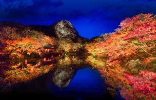 御船山楽園紅葉のライトアップ
