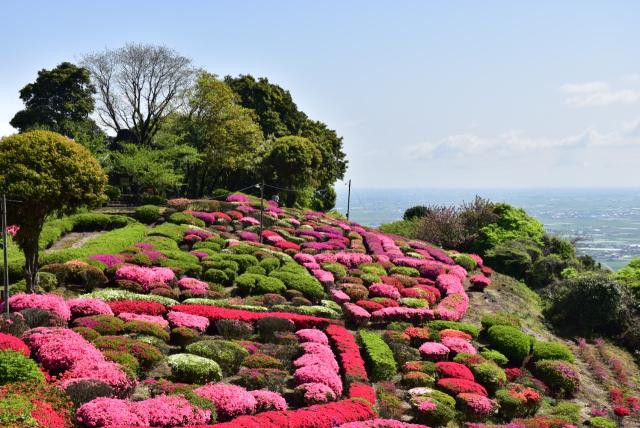 つつじが咲き乱れる歌垣公園の写真