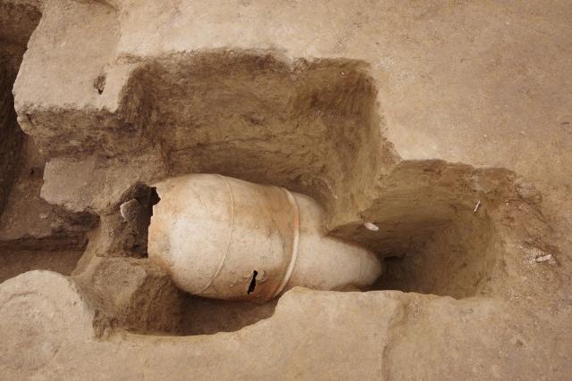 画像：吉野ヶ里遺跡で発掘されたもの