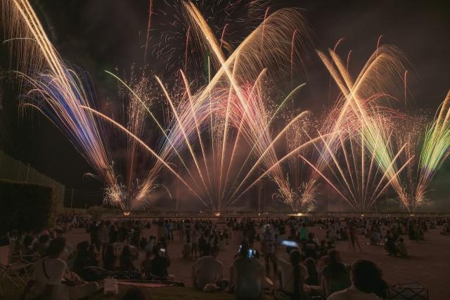 写真：打ちあがる花火と観客