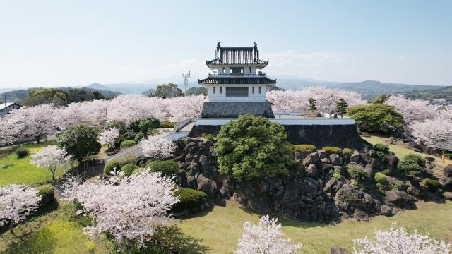 写真：竹崎城址の櫓の周囲に桜が咲いている様子の空撮写真