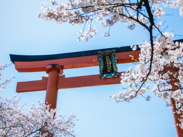 写真：祐徳稲荷神社参道(桜)