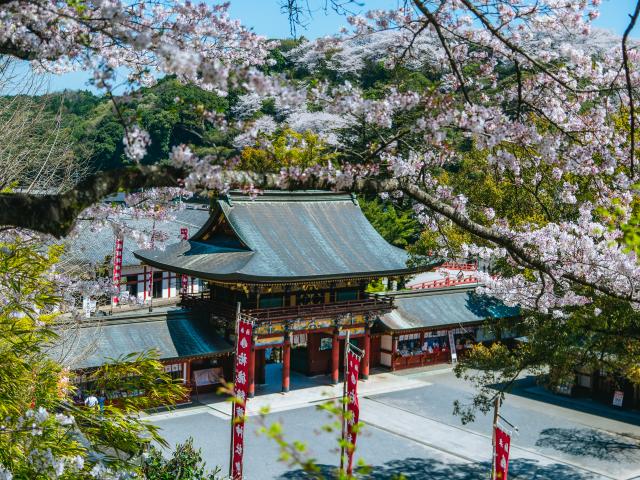 写真：祐徳稲荷神社（桜）