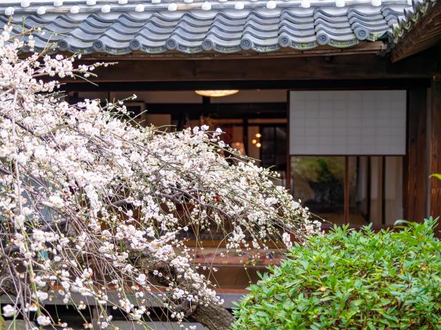 写真：佐賀城下ひなまつり(旧三省銀行)