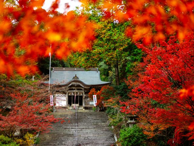 写真：仁比山神社