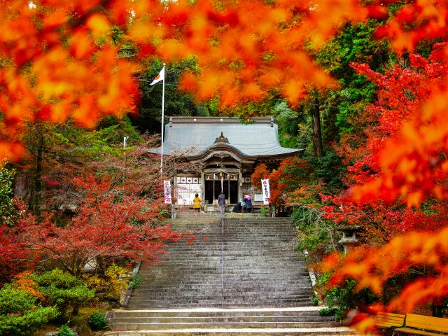 写真：仁比山神社