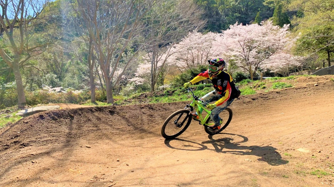 写真：桜の柵山道をロードバイクで上るこども