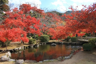 西渓公園内紅葉と池の画像