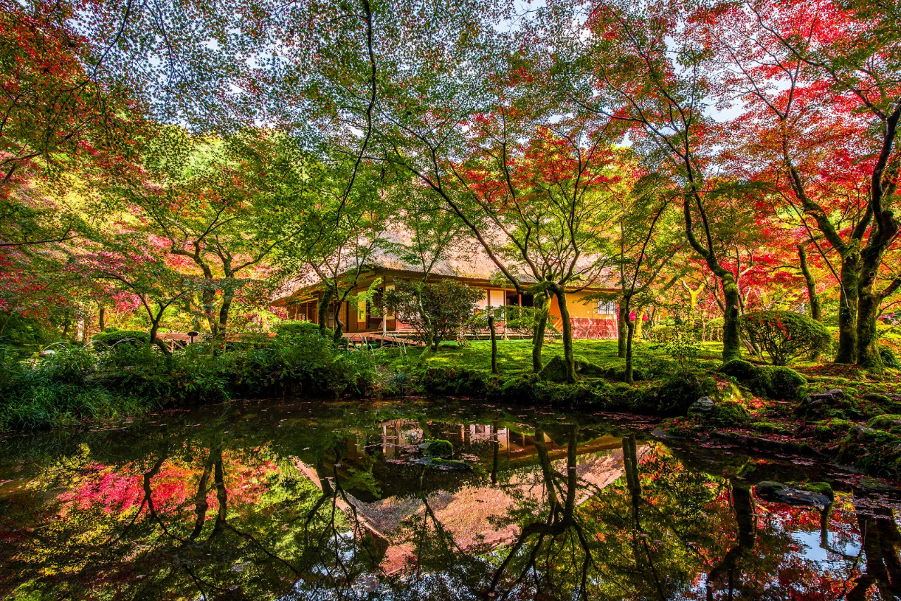 池に写る九年庵と秋の紅葉