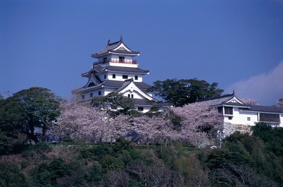 写真：桜に囲まれた唐津城天守閣の風景