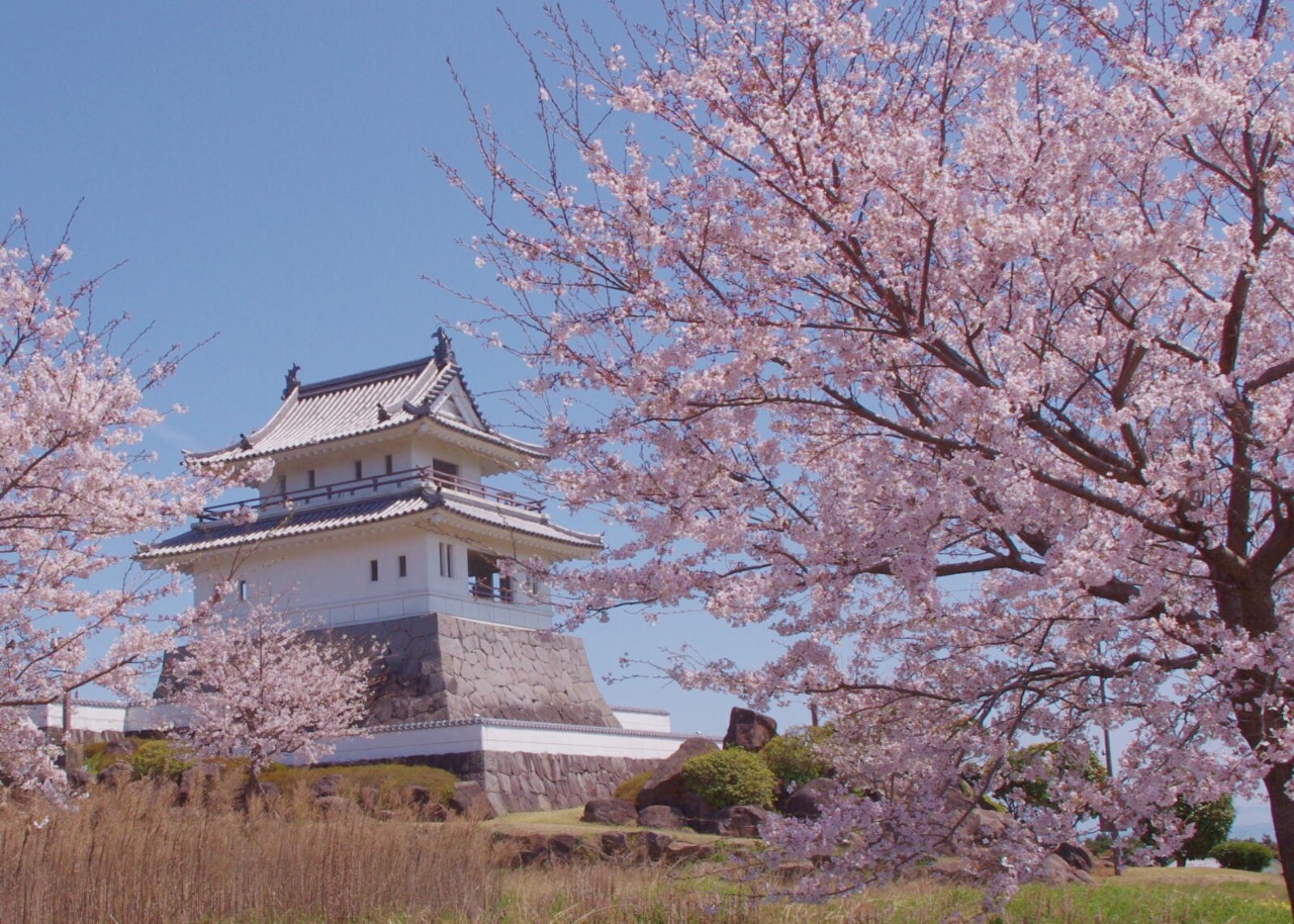 写真：竹崎城址展望台と桜