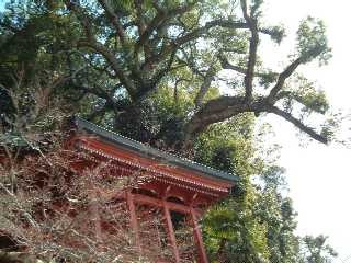 写真：中嶋神社