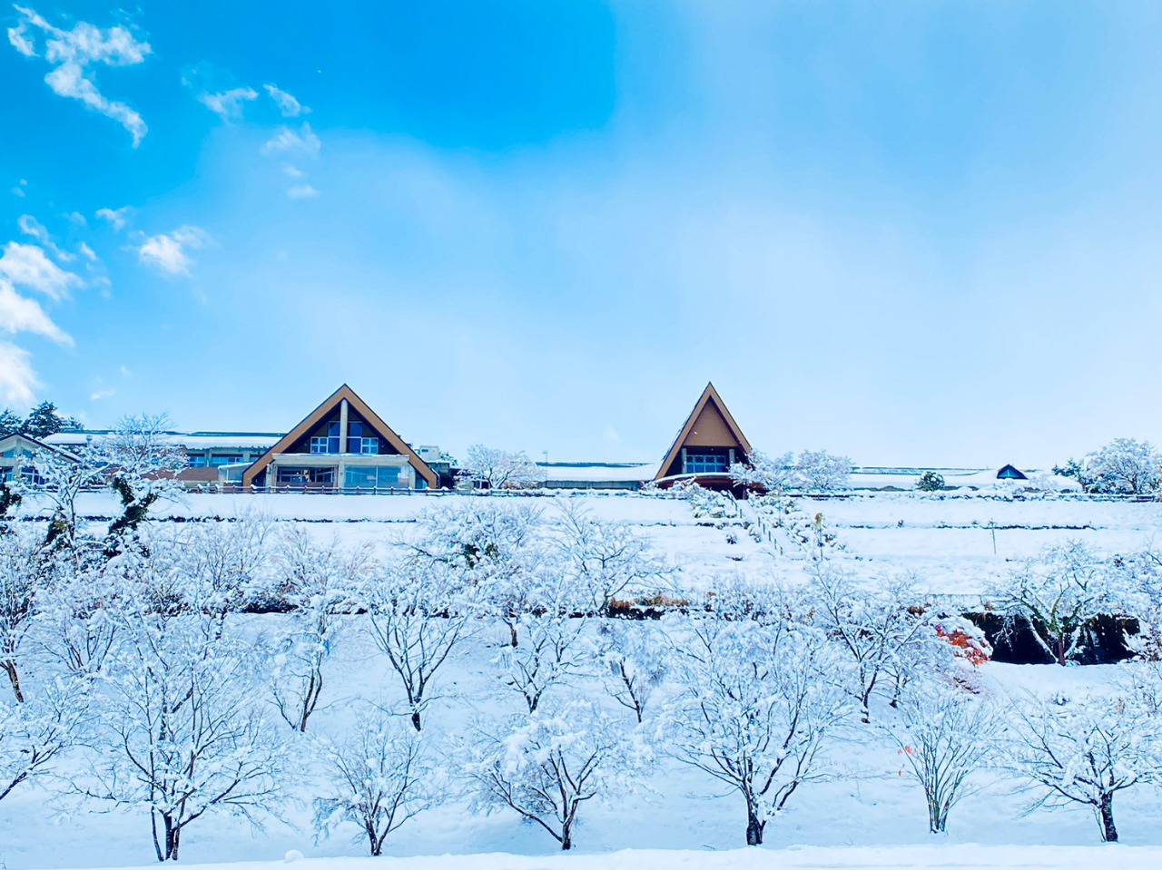 写真：施設周辺の風景(冬)