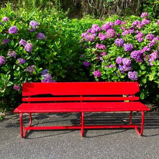 写真：アジサイと赤いベンチ