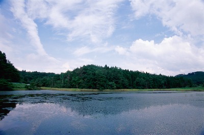 写真：湿原に山影が写っている風景