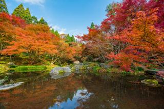 写真：環境芸術の森の池と紅葉