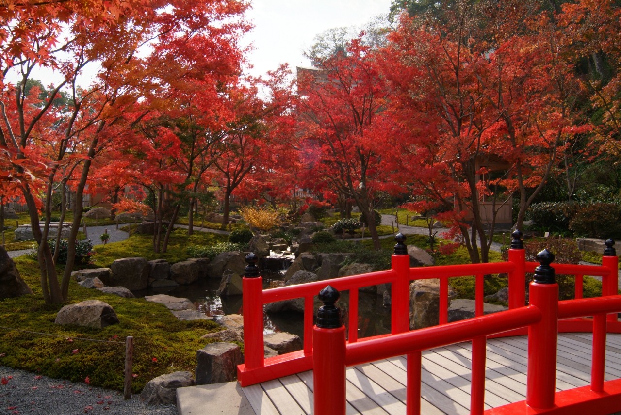 写真：紅葉が見ごろな時期の祐徳稲荷神社日本庭園